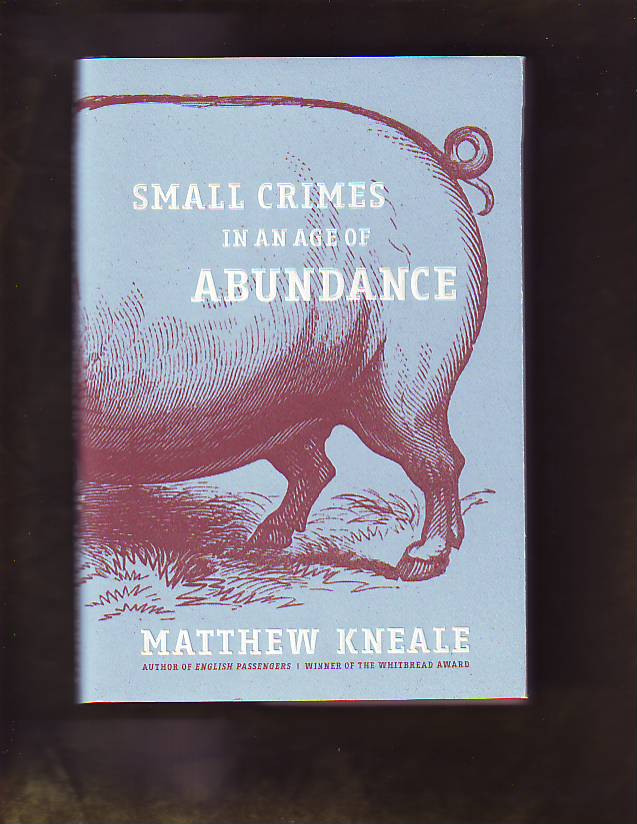 Image for Small Crimes in an Age of Abundance