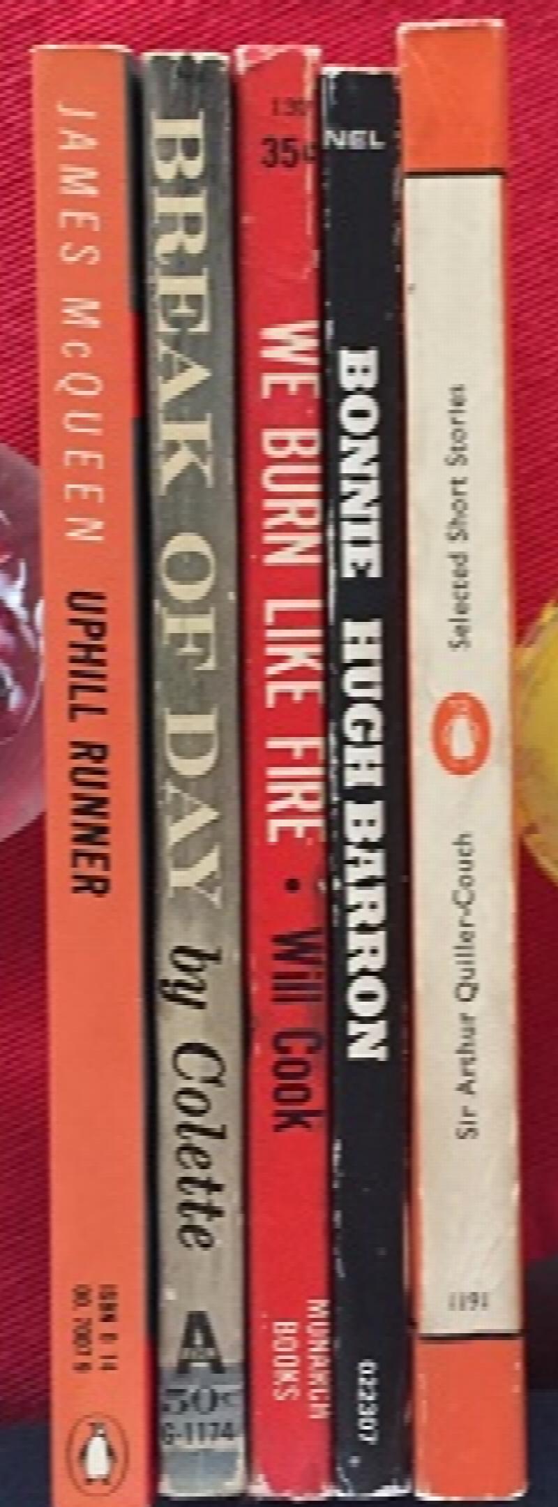 Image for An AFB 5-book fiction multi-pack:  Bonnie, We Burn Like Fire, Break of Day, Uphill Runner, Selected Short Stories