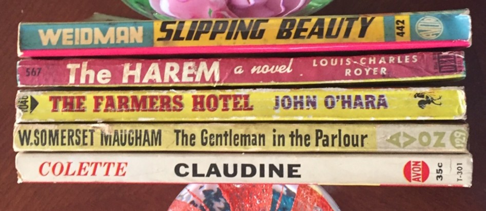 An AFB 5-book fiction multi-pack: Claudine, The Farmer's Hotel, The Harem, Slipping Beauty