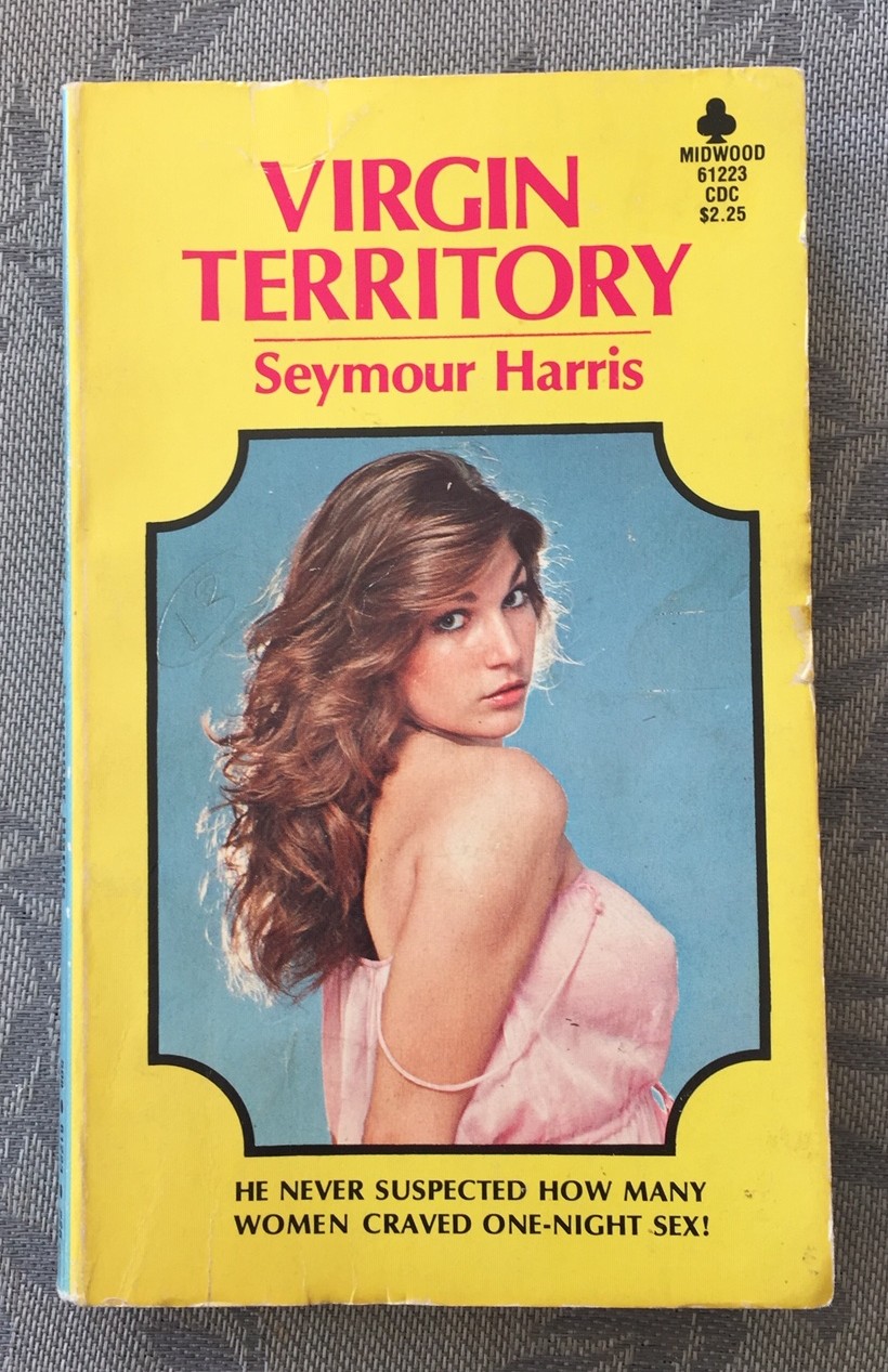 Image for Virgin Territory Virgin Territory